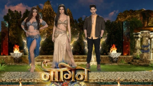 simba nagpal in naagin 6