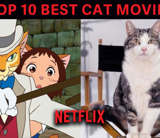 Top 10 Cat Movies on Netflix